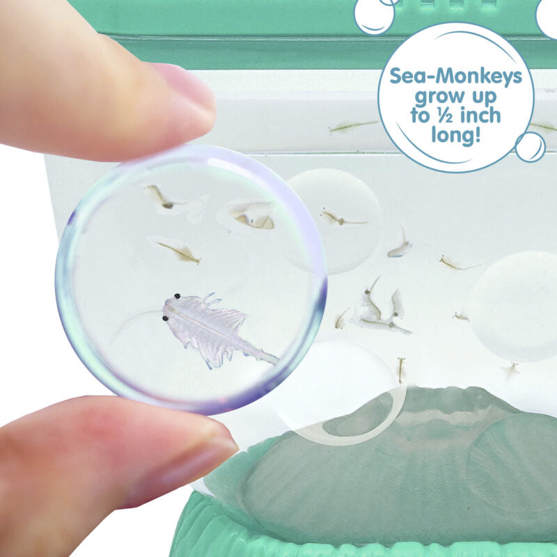 Sea-Monkeys Ocean Volcano - US 3717
